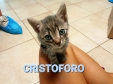 2022-08 Cristoforo