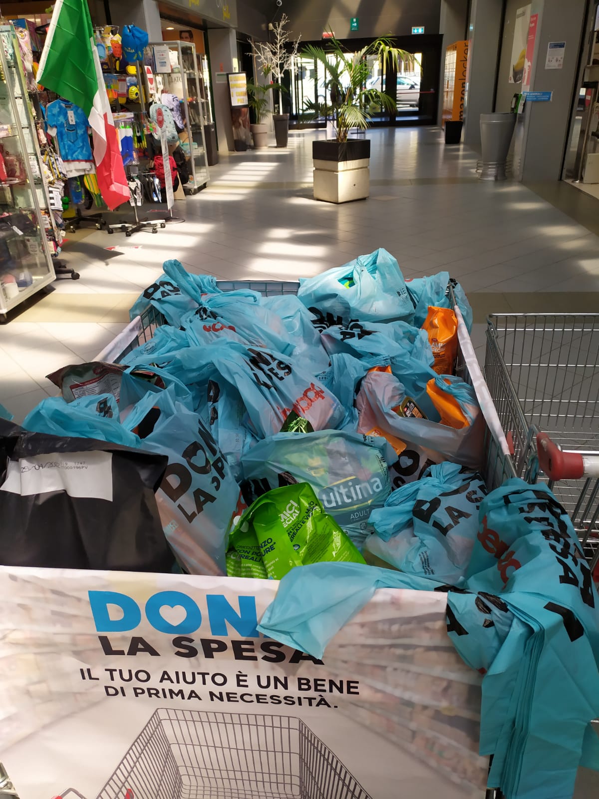 Oasi Felina Trecate, progetto pet, amazon, lista amazon, raccolta cibo, donaci una scatoletta, pappa, consegna cibo, randagi, gatti, novara, gatti bisognosi, crocchette