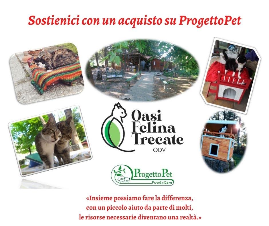 Oasi Felina Trecate, progetto pet, amazon, lista amazon, raccolta cibo, donaci una scatoletta, pappa, consegna cibo, randagi, gatti, novara, gatti bisognosi, crocchette