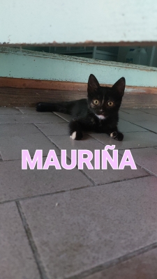 2022-11 Mauriña